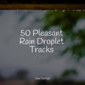 50 Pleasant Rain Droplet Tracks