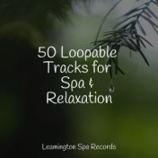 50 Loopable Tracks for Spa & Relaxation