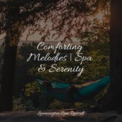 Comforting Melodies | Spa & Serenity