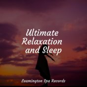 Ultimate Relaxation and Sleep