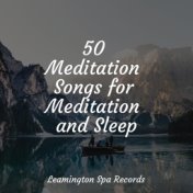 50 Meditation Songs for Meditation and Sleep