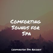 Comforting Sounds for Spa