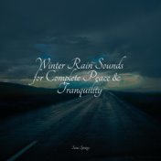 Winter Rain Sounds for Complete Peace & Tranquility