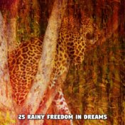 25 Rainy Freedom In Dreams