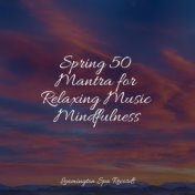 Spring 50 Mantra for Relaxing Music Mindfulness
