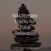 50 Ultimate Tracks for Total Relaxation