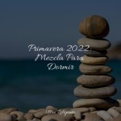 Primavera 2022: Mezcla Para Dormir