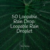 50 Loopable Rain Drop: Loopable Rain Droplet