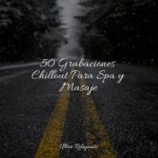 50 Grabaciones Chillout Para Spa y Masaje