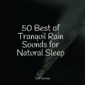 50 Best of Tranquil Rain Sounds for Natural Sleep