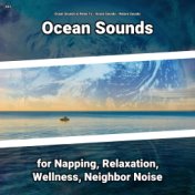 #01 Ocean Sounds for Napping, Relaxation, Wellness, Neighbor Noise
