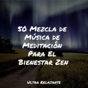 50 Mezcla de Música de Meditación Para El Bienestar Zen