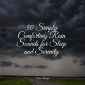 50 Simply Comforting Rain Sounds for Sleep and Serenity