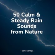 50 Calm & Steady Rain Sounds from Nature