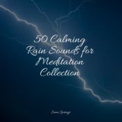 50 Calming Rain Sounds for Meditation Collection