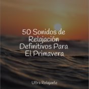 50 Sonidos de Relajación Definitivos Para El Primavera