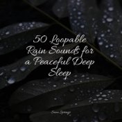 50 Loopable Rain Sounds for a Peaceful Deep Sleep