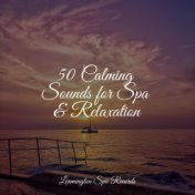 50 Calming Sounds for Spa & Relaxation