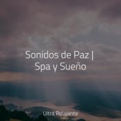 Sonidos de Paz | Spa y Sueño