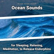 #01 Ocean Sounds for Sleeping, Relaxing, Meditation, to Release Endorphins