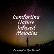 Comforting Nature Infused Melodies