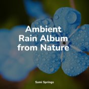 Ambient Rain Album from Nature