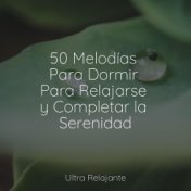 50 Melodías Para Dormir Para Relajarse y Completar la Serenidad