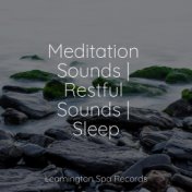 Meditation Sounds | Restful Sounds | Sleep