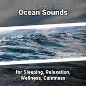 #01 Ocean Sounds for Sleeping, Relaxation, Wellness, Calmness