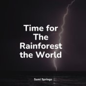 Time for The Rainforest the World