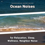 #01 Ocean Noises for Relaxation, Sleep, Wellness, Neighbor Noise