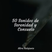 50 Sonidos de Serenidad y Consuelo