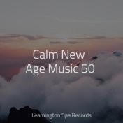 Calm New Age Music 50