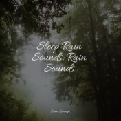 Sleep Rain Sounds: Rain Sounds