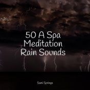 50 A Spa Meditation Rain Sounds