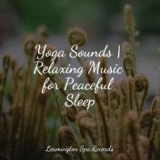 Yoga Sounds | Relaxing Music for Peaceful Sleep
