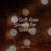 50 Soft Rain Sounds for Sleep