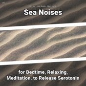 #01 Sea Noises for Bedtime, Relaxing, Meditation, to Release Serotonin