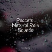 Peaceful Natural Rain Sounds