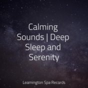 Calming Sounds | Deep Sleep and Serenity