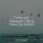 Canciones Tranquilas | Spa y Alivio Del Estrés