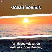 #01 Ocean Sounds for Sleep, Relaxation, Wellness, Good Reading