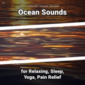 #01 Ocean Sounds for Relaxing, Sleep, Yoga, Pain Relief