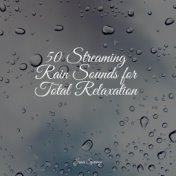 50 Streaming Rain Sounds for Total Relaxation