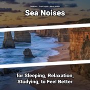 #01 Sea Noises for Sleeping, Relaxation, Studying, to Feel Better