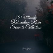 50 Ultimate Relaxation Rain Sounds Collection