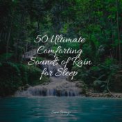 50 Ultimate Comforting Sounds of Rain for Sleep