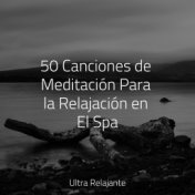 50 Canciones de Meditación Para la Relajación en El Spa
