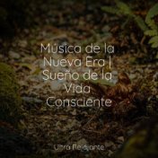 Música de la Nueva Era | Sueño de la Vida Consciente