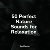 50 Perfect Nature Sounds for Relaxation